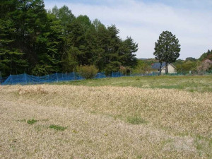 諏訪郡富士見町落合、土地の画像です