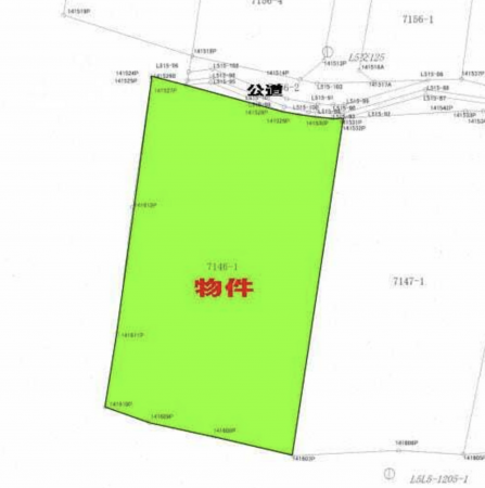 茅野市玉川、土地の間取り画像です