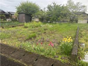 越前市岩本町、土地の画像です