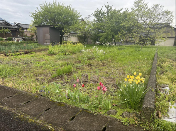 越前市岩本町、土地の画像です