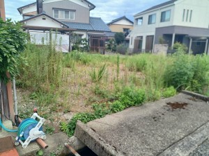 越前市姫川、土地の画像です