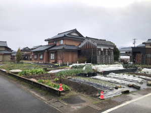 越前市横市町、土地の画像です