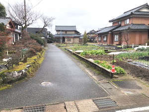 越前市横市町、土地の画像です