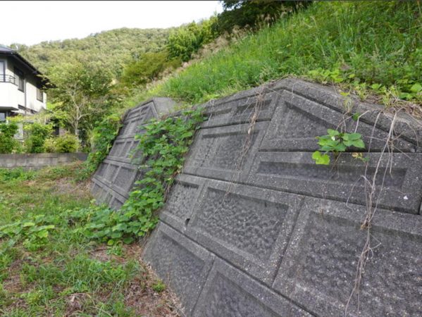 越前市向陽町、土地の画像です
