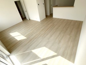 鯖江市下河端町、新築一戸建ての画像です