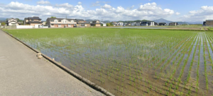 鯖江市糺町、土地の画像です