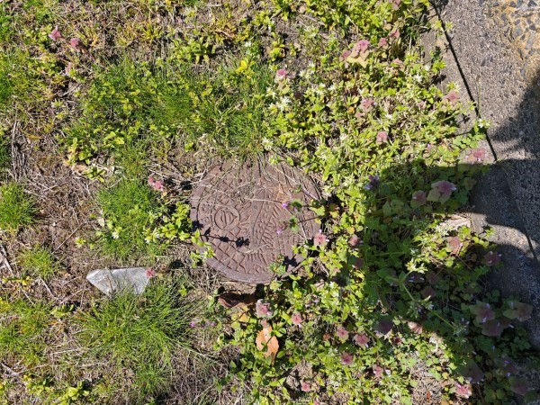 越前市行松町、土地の画像です