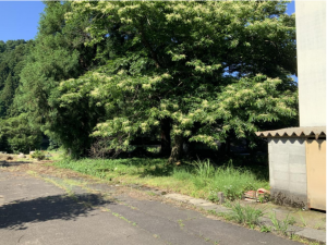 越前市高森町、土地の間取り画像です