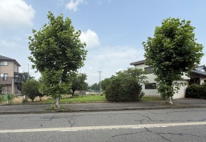 越前市八幡、土地の画像です
