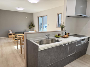 越前市家久町、新築一戸建ての画像です