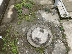 鯖江市鳥羽、土地の画像です