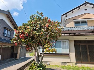 越前市定友町、中古一戸建ての画像です