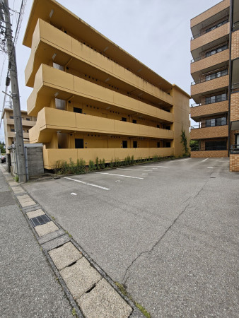 吉田郡永平寺町松岡領家、マンションの画像です