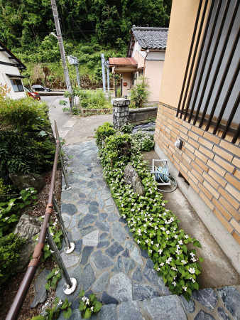 鯖江市西山町、中古一戸建ての画像です