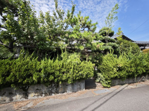 坂井市春江町、中古一戸建ての画像です