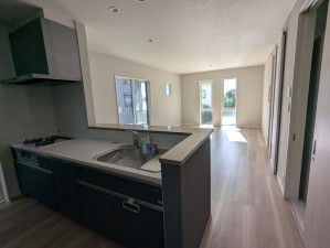 呉市平原町、新築一戸建ての画像です