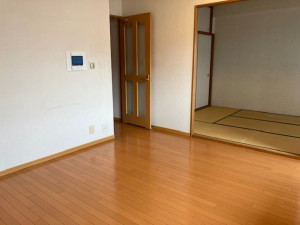 呉市中央、マンションの居間画像です
