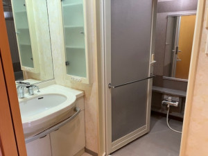 呉市中央、マンションの洗面画像です