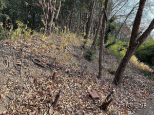 岡山市北区津高、土地の画像です