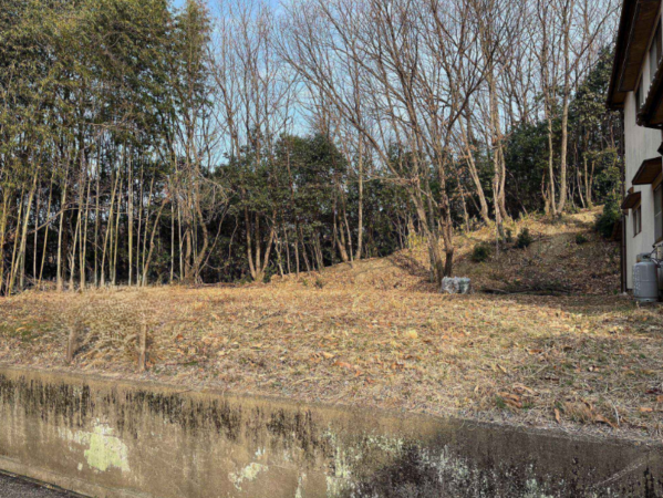 岡山市北区津高、土地の画像です