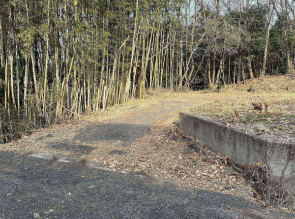 岡山市北区津高、土地の画像です