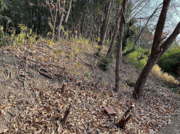 岡山市北区津高、土地の画像です