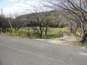 岡山市北区吉備津、土地の画像です