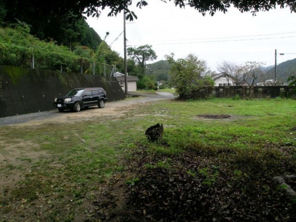 岡山市北区建部町吉田、土地の画像です