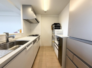 岡山市北区平野、マンションの画像です