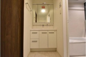 岡山市北区奥田、マンションの画像です
