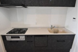 岡山市北区奥田、マンションの画像です