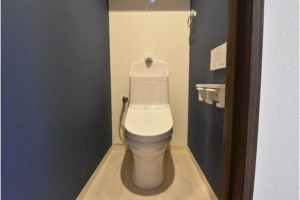 岡山市北区奥田、マンションの画像です