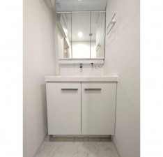 岡山市北区野田、マンションの画像です