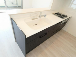 岡山市北区鹿田本町、マンションの画像です