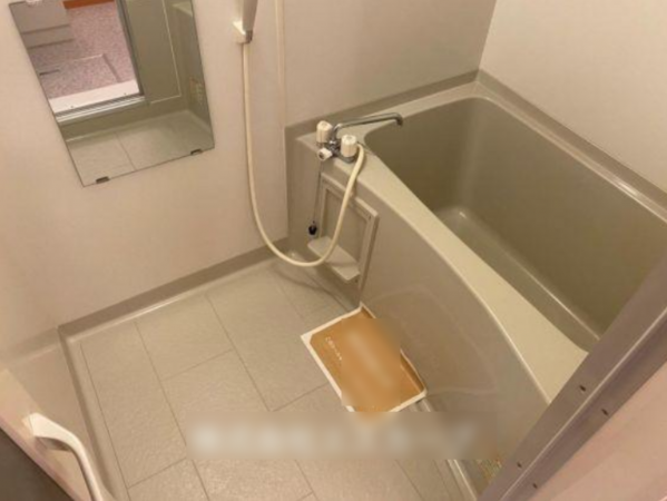 岡山市北区花尻みどり町、収益物件/アパートの画像です