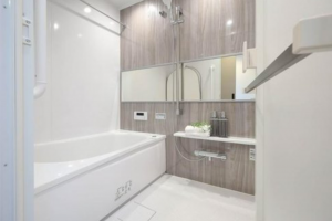 岡山市北区平田、マンションの画像です