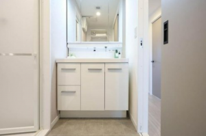 岡山市北区平田、マンションの画像です