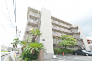岡山市北区庭瀬、収益物件/マンションの間取り画像です
