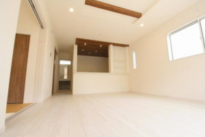 岡山市北区一宮、新築一戸建ての画像です