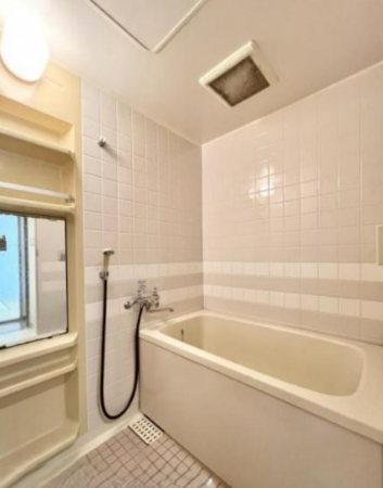 岡山市北区清輝橋、マンションの画像です