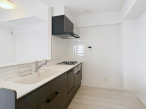 岡山市北区鹿田本町、マンションの画像です