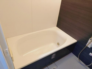 岡山市北区野田、マンションの画像です