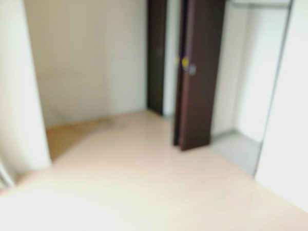 岡山市北区野田、マンションの画像です