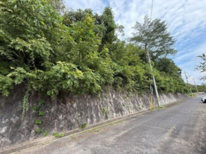 岡山市北区御津新庄、土地の画像です