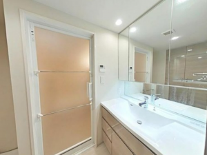 岡山市北区駅元町、マンションの画像です