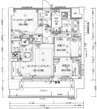 岡山市北区駅元町、マンションの間取り画像です
