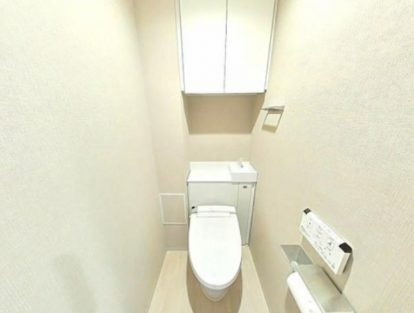 岡山市北区駅元町、マンションの画像です