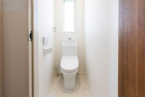 岡山市北区下中野、新築一戸建ての画像です