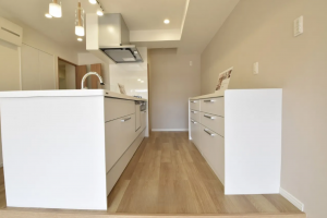 岡山市北区厚生町、マンションの画像です