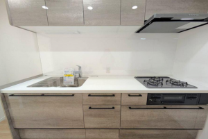 岡山市北区西古松西町、マンションの画像です